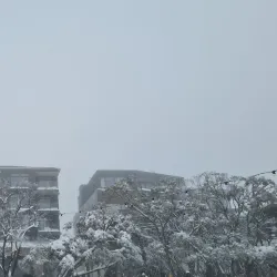 Mount Buller - Mansfield