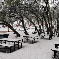 Mount Buller - Mansfield