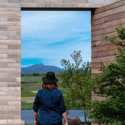 Wineries and Vineyards - Mansfield