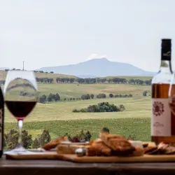 Wineries and Vineyards - Mansfield