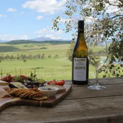 Wineries and Vineyards - Mansfield