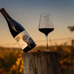 Margaret River Wineries - Margaret River