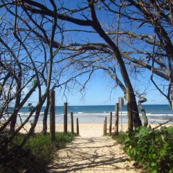 Alexandra Headland Beach - Maroochydore