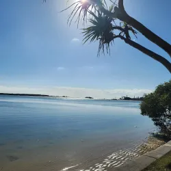 Cotton Tree Park - Maroochydore