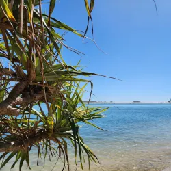 Cotton Tree Park - Maroochydore