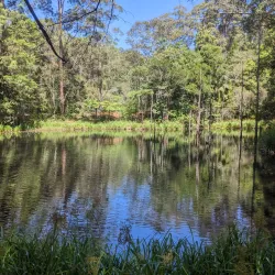 Maroochy Regional Bushland Botanic Garden - Maroochydore
