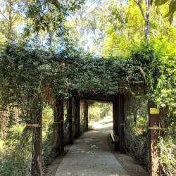 Maroochy Regional Bushland Botanic Garden - Maroochydore