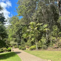 Maroochy Regional Bushland Botanic Garden - Maroochydore