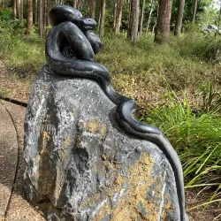 Maroochy Regional Bushland Botanic Garden - Maroochydore
