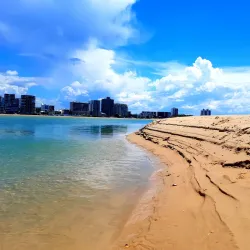 Maroochy River - Maroochydore
