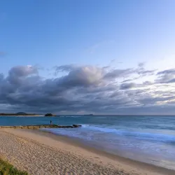 Maroochydore Beach - Maroochydore