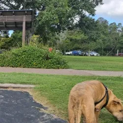 Maroochydore Multi Sports Complex - Maroochydore