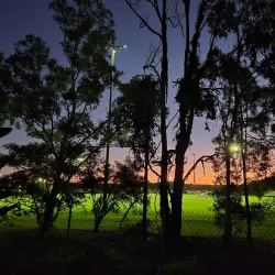 Maroochydore Multi Sports Complex - Maroochydore