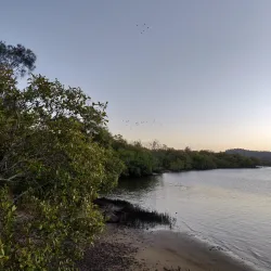 Maroochydore Multi Sports Complex - Maroochydore