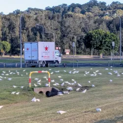 Maroochydore Multi Sports Complex - Maroochydore