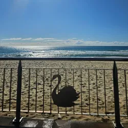 Maroochydore Surf Club - Maroochydore