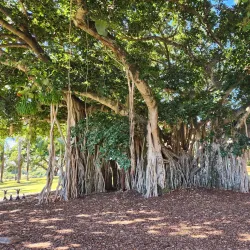 Queens Park - Maryborough