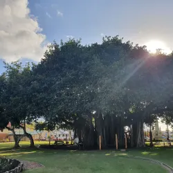 Queens Park - Maryborough