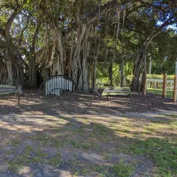 Queens Park - Maryborough