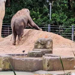 Melbourne Zoo - Melbourne