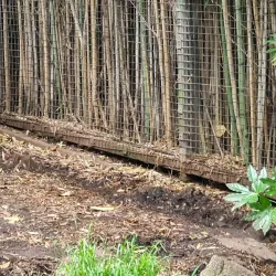 Melbourne Zoo - Melbourne