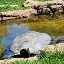 Melbourne Zoo - Melbourne