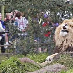 Melbourne Zoo - Melbourne