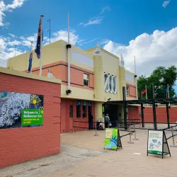 Melbourne Zoo - Melbourne