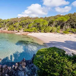 Ben Boyd National Park - Merimbula