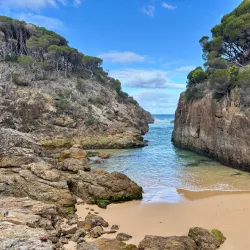 Bournda National Park - Merimbula