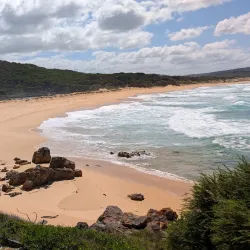 Bournda National Park - Merimbula