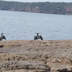 Main Beach - Merimbula