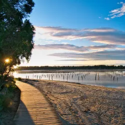 Merimbula Boardwalk - Merimbula