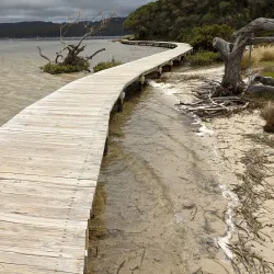 Merimbula Boardwalk - Merimbula