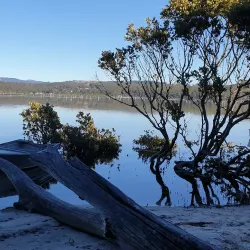 Merimbula Boardwalk - Merimbula