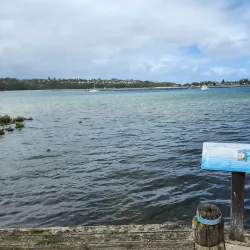 Merimbula Lake - Merimbula