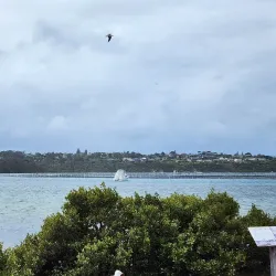 Merimbula Lake - Merimbula