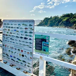 Merimbula Wharf - Merimbula