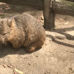 Potoroo Palace Wildlife Sanctuary - Merimbula