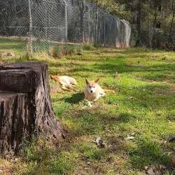 Potoroo Palace Wildlife Sanctuary - Merimbula