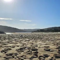 Short Point Beach - Merimbula
