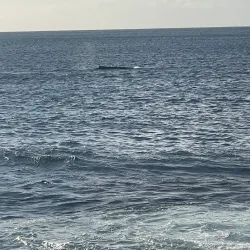 Short Point Beach - Merimbula