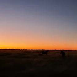 Millmerran Community Park - Millmerran