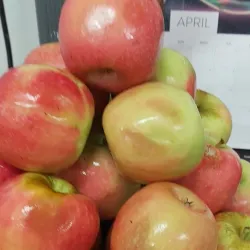 Millmerran Farmers Market - Millmerran