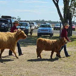 Millmerran Showgrounds - Millmerran