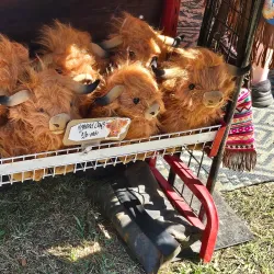 Millmerran Showgrounds - Millmerran