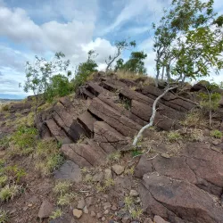 Surrounding Countryside and Walking Trails - Millmerran