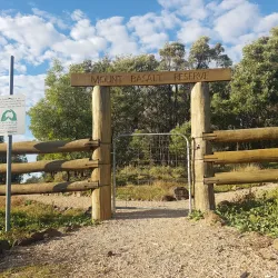 Surrounding Countryside and Walking Trails - Millmerran