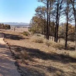 Surrounding Countryside and Walking Trails - Millmerran