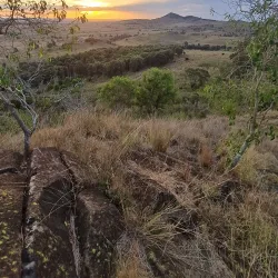 Surrounding Countryside and Walking Trails - Millmerran